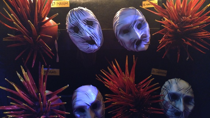 Cirque Du Soleil Varekai Rehearsals 